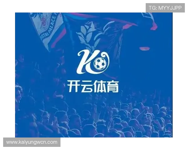 开云体育网站登录入口安全登录建议，保护个人信息免受风险侵害