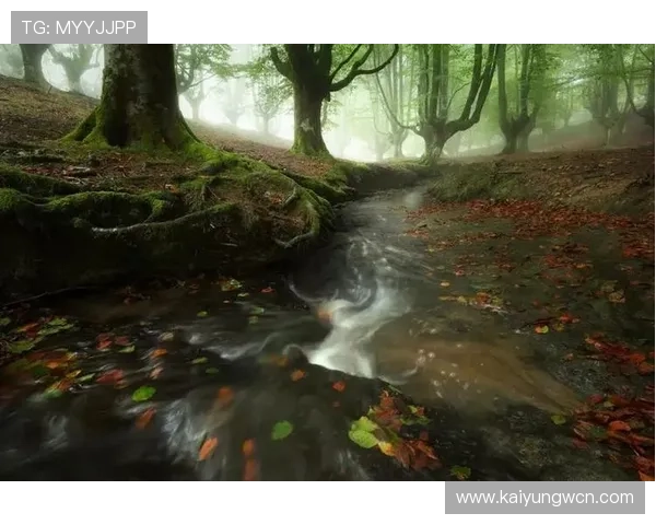 在开运网论坛中找到适合自己的开运方法，解决运势低迷带来的困扰与疑问