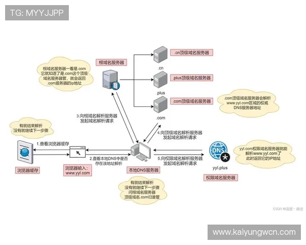 详细解析开云线上网址下载的步骤与注意事项，助你畅享无限乐趣